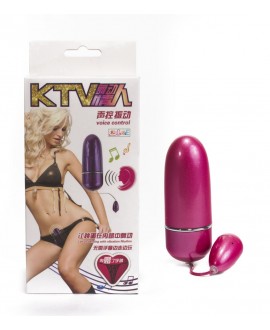 VOICE CONTROL VIBRATOR with T-Back Underwear